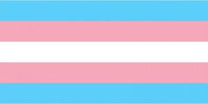 cropped-bandeira_trans